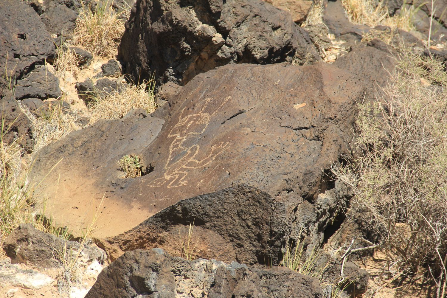 Petroglyph National Monument 